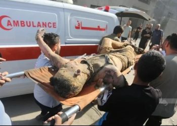 291 Hari Serangan Israel di Gaza: Lebih dari 39 Ribu Tewas, 95 Ribu Terluka