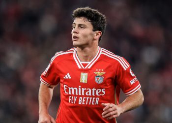 Prediksi Skor Benfica vs Feyenoord, UEFA Champions League Musim 2024-2025