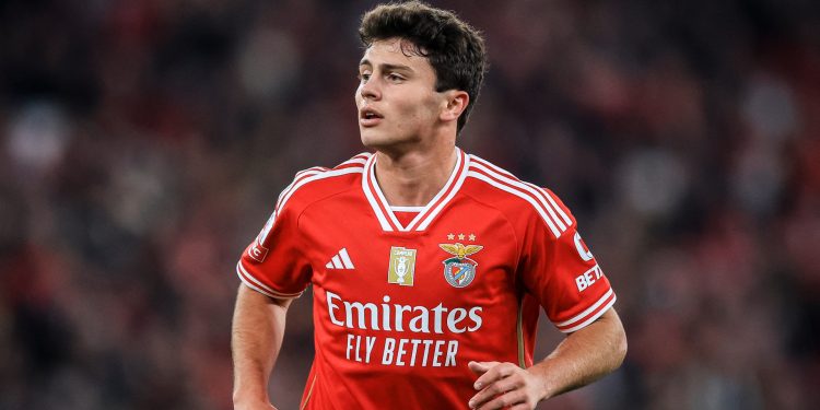 Prediksi Skor Benfica vs Feyenoord, UEFA Champions League Musim 2024-2025