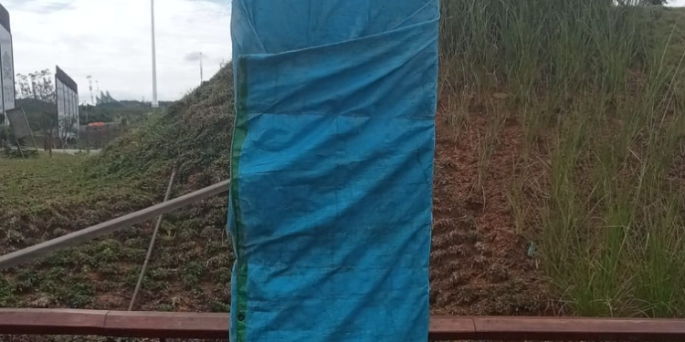 Tulisan "Lorem Ipsum" di Tugu Titik Nol IKN Jadi Sorotan, Otorita IKN Beri Penjelasan