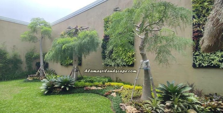 Teknik Drainase yang Baik untuk Taman Agar Tidak Becek