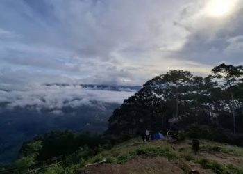 Komitmen Membangun Indonesia Lebih Hijau Bersama Dinas Lingkungan Hidup