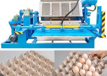 Ledakan Permintaan Rak Telur, Teknologi Mesin Kertas Ini Buka Peluang Cuan Baru