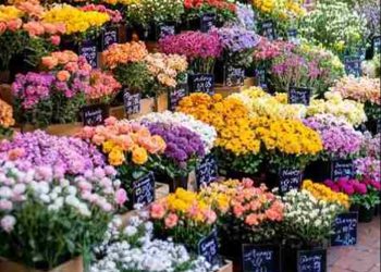 Athaya Florist Hadirkan Tren Baru Hadiah Bunga Eksklusif Menyambut Momen Akhir Tahun